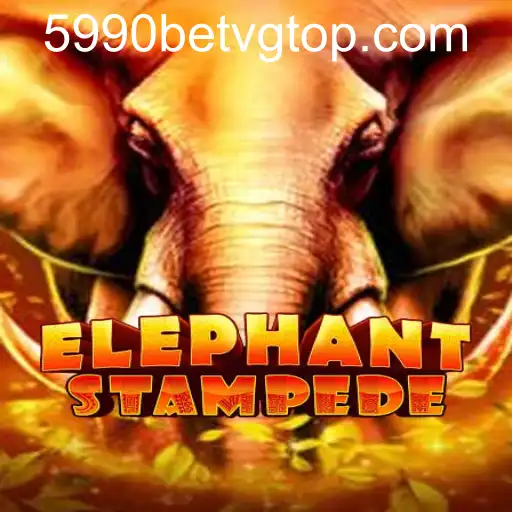 ElephantStampede